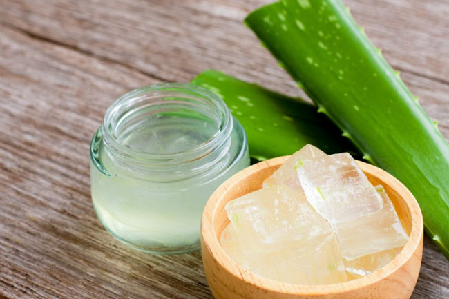 Aloe vera