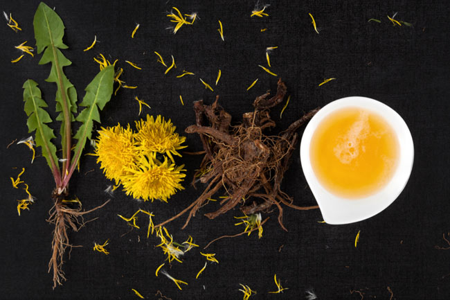 Dandelion root