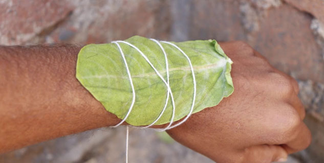 Inside2madarleafuses