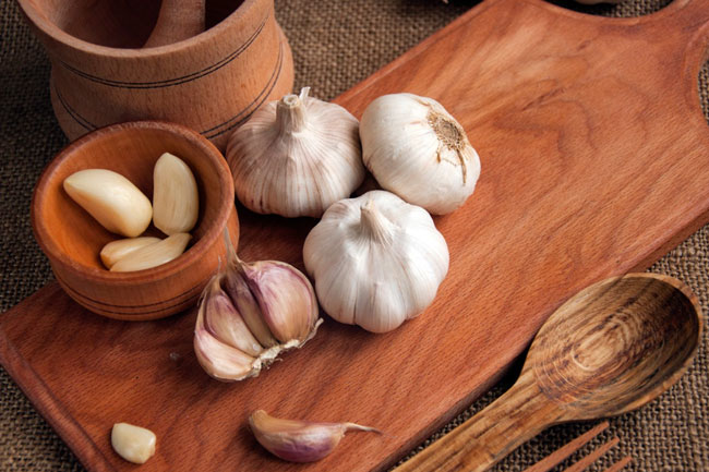 Garlic