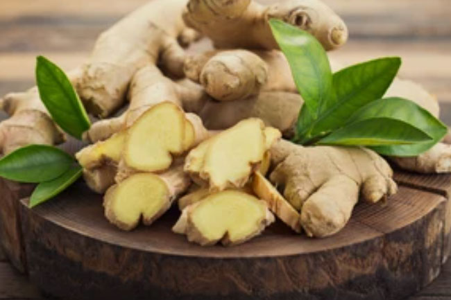 Ginger