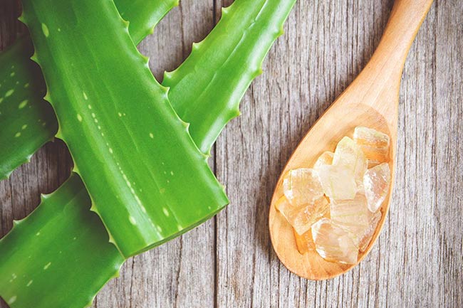 6. एलाेवेरा जेल (Aloe vera gel)