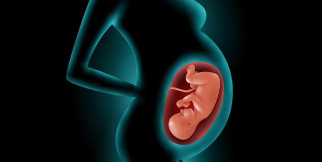 Fetal cardiography