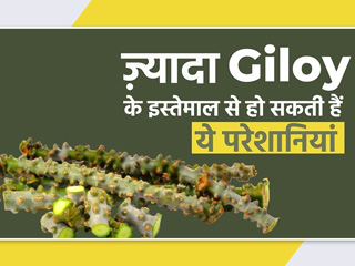 गिलोय के ज्यादा इस्तेमाल से होने वाले नुकसान