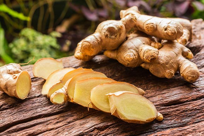 Ginger