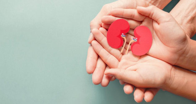 home-remedies-for-high-creatinine
