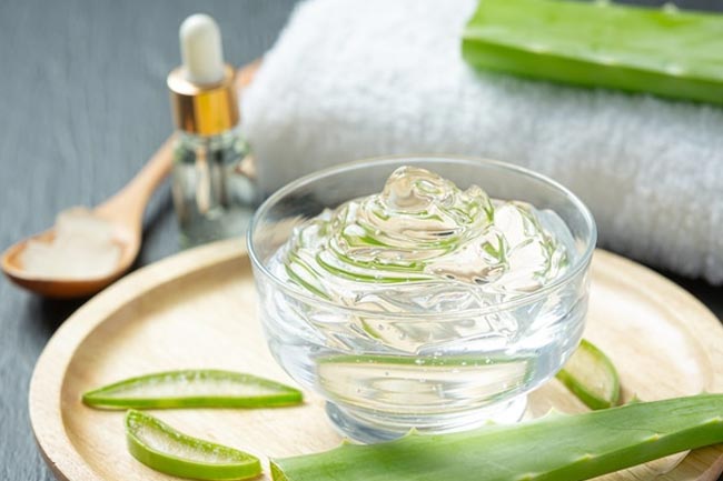 Aloe vera