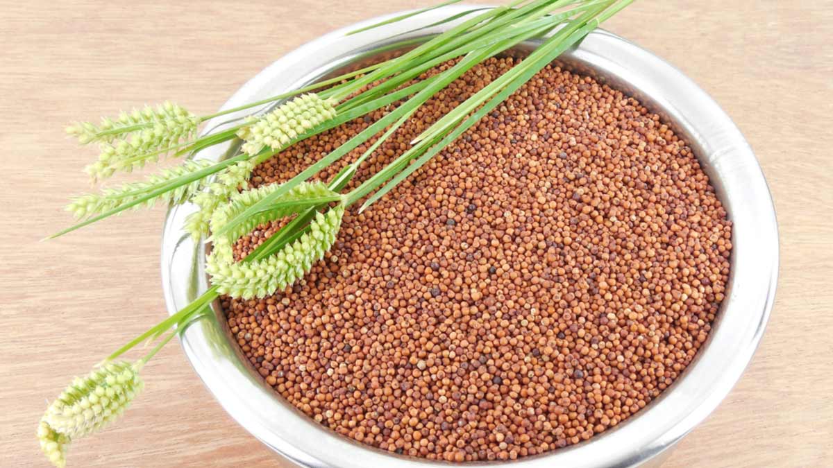 ragi weight loss