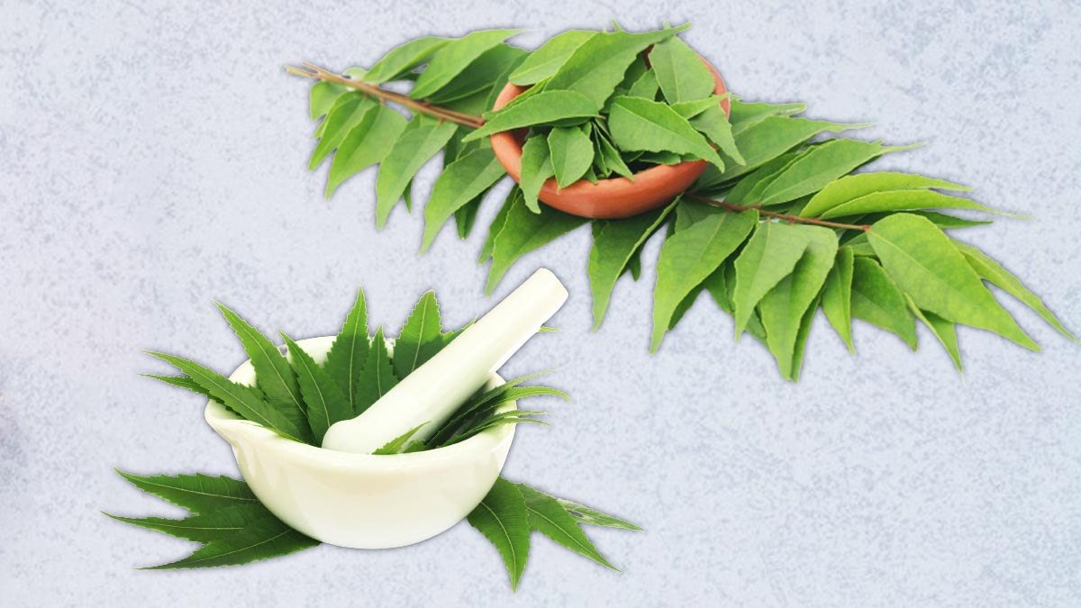 स्किन पर छोटा-मोटा घाव होने पर काम आएंगी ये 4 तरह की पत्तियां