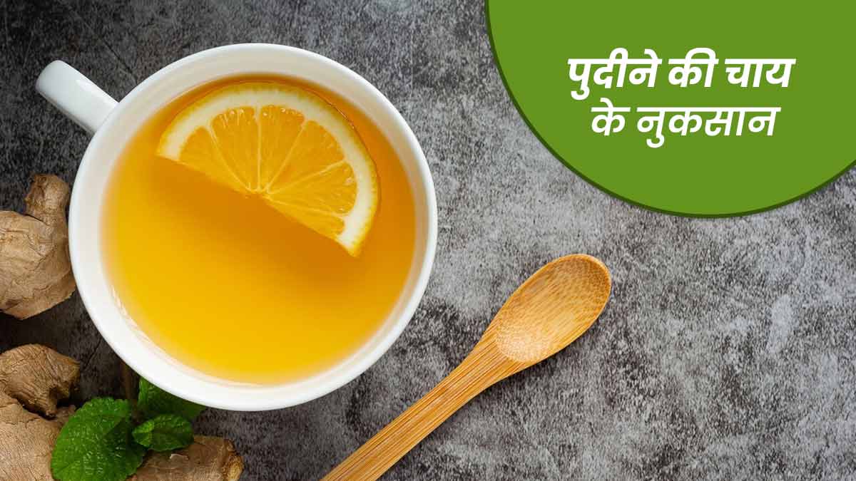 पुदीने की चाय ज्यादा पीना भी हो सकता है नुकसानदायक, जानें इसके 5 नुकसान