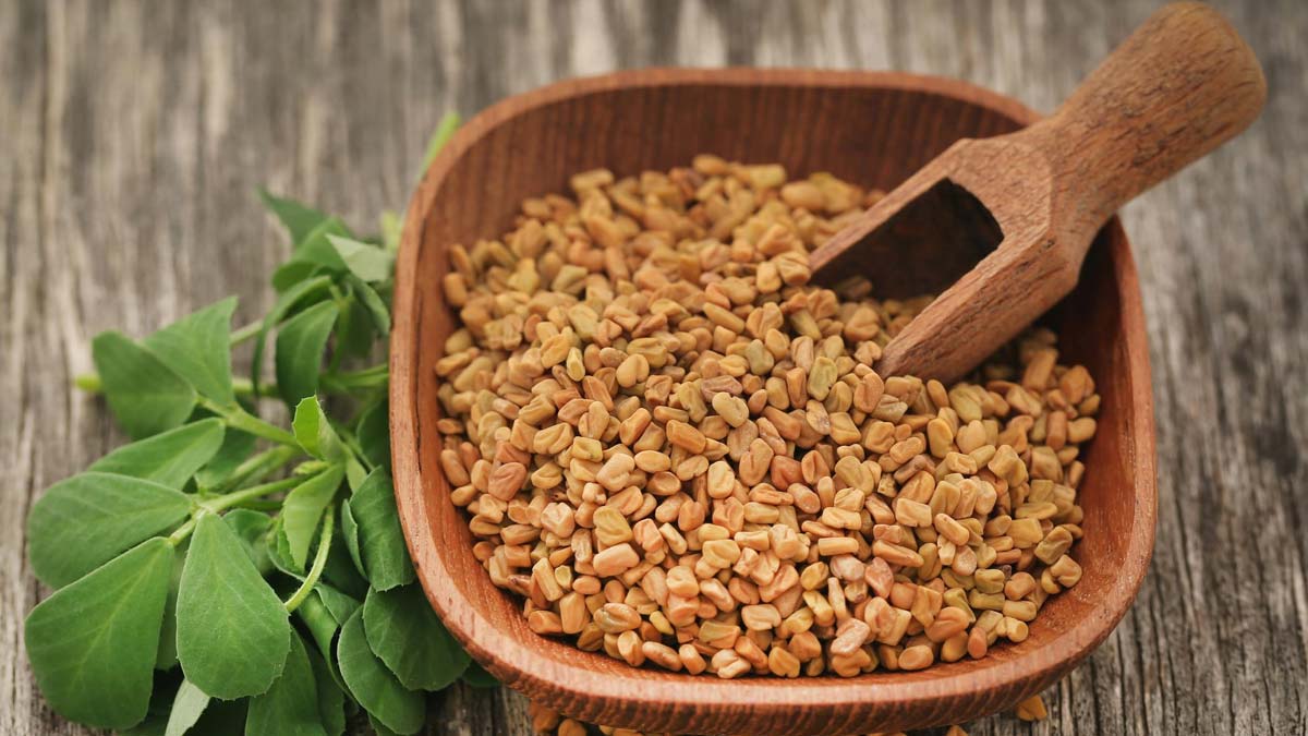 fenugreek seeds for diabetes