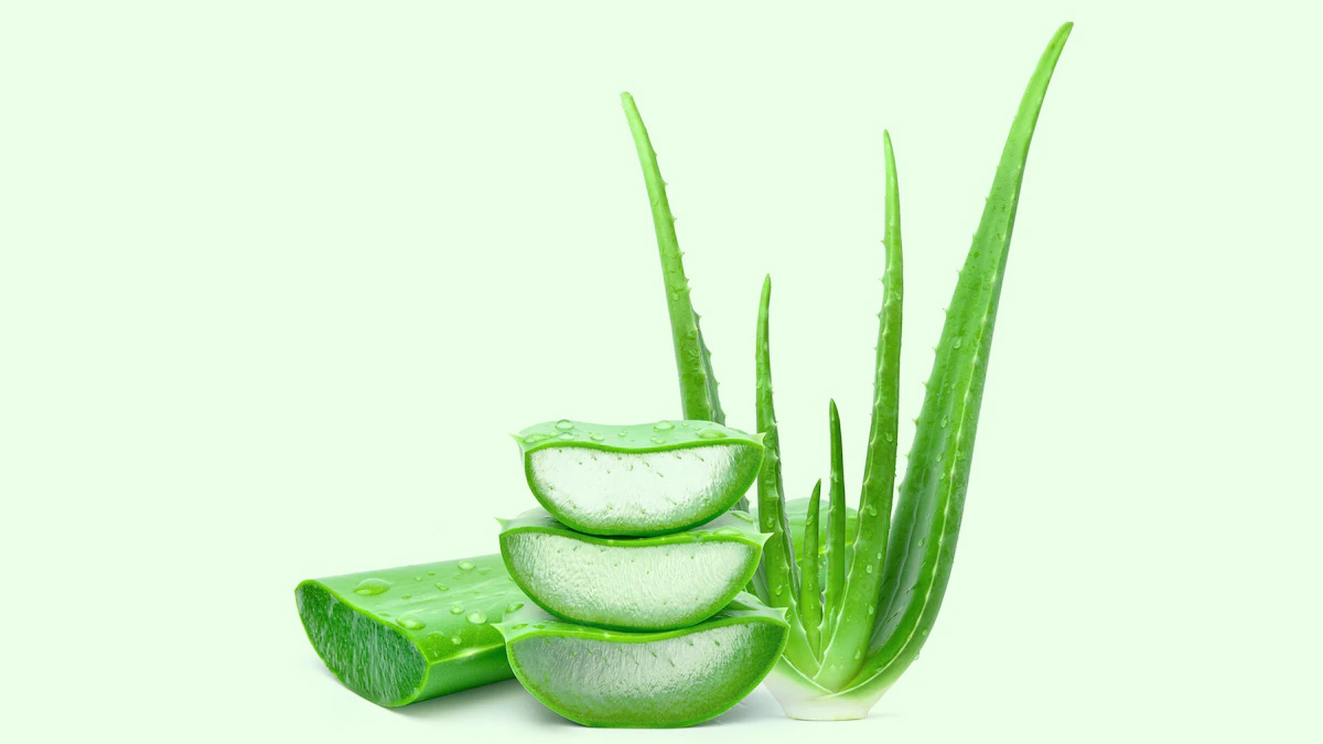 aloe vera for pimples