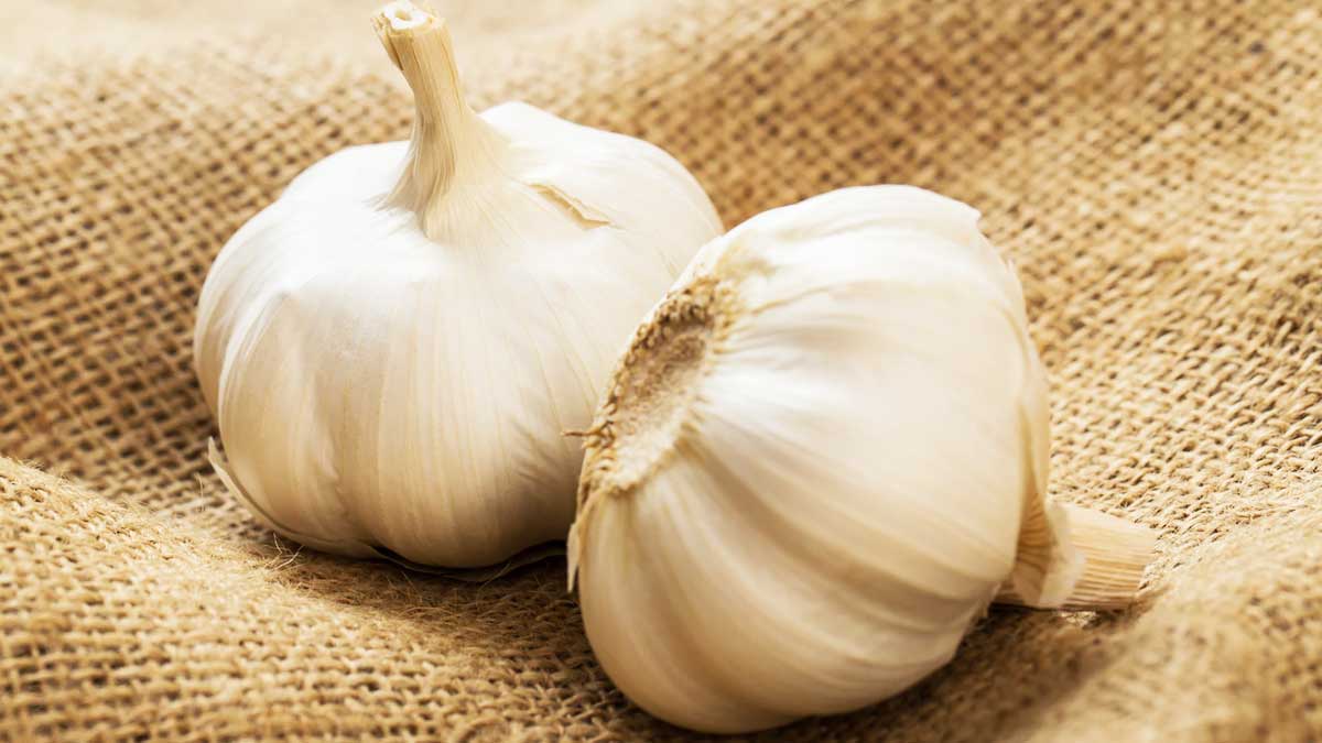garlic benefits