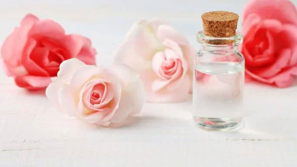 rose water benefits