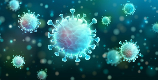 The novel coronavirus