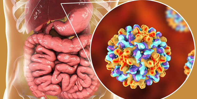 hepatitis b and pregnancy