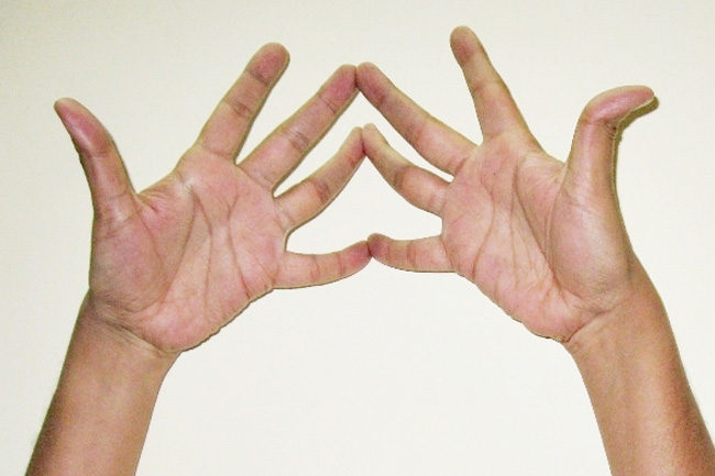 4. त्रिमुख मुद्रा (trimukha mudra)