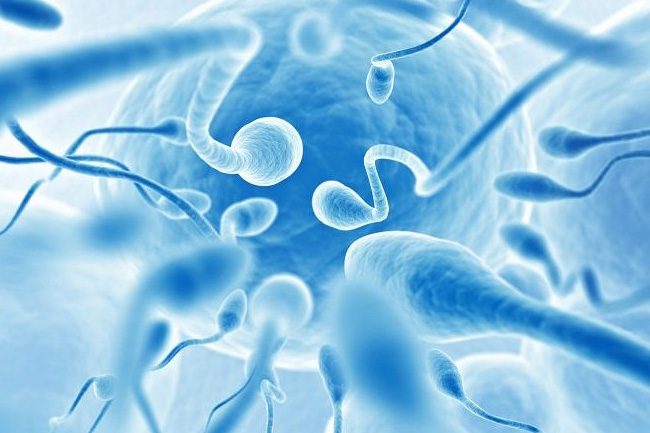 1. स्पर्म काउंट बढ़ाए - increase sperm count