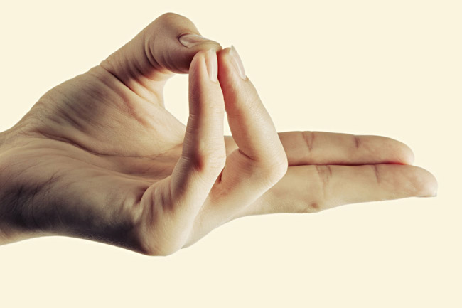 2. प्राण मुद्रा