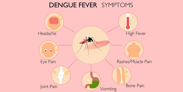 symptoms of dengue