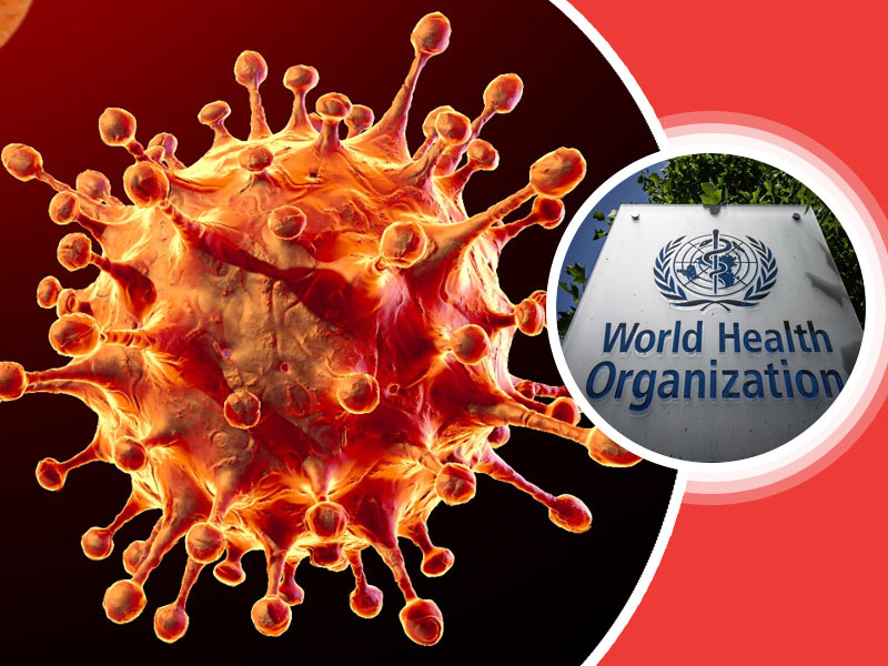 WHO Highlights 500000 COVID-19 Deaths Since Omicron Detection