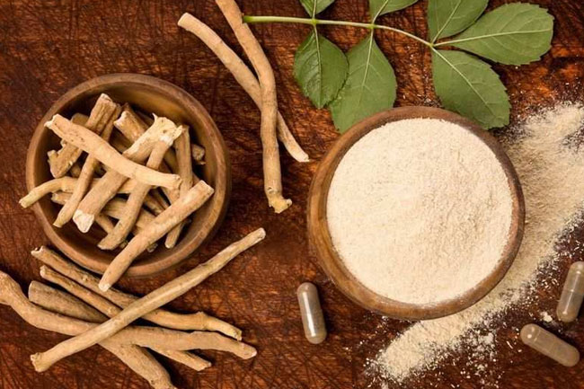 1. अश्वगंधा से बढ़ाएं वजन (ashwagandha for weight gain in hindi)