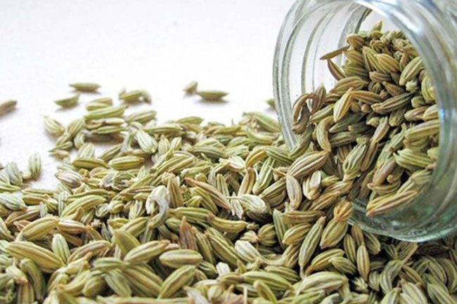 4. सौंफ बढ़ाए वजन (fennel seeds for weight gain)