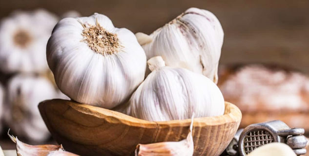 garlic