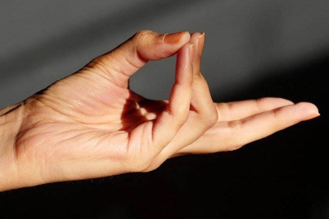 3. प्राण मुद्रा (Prana mudra)