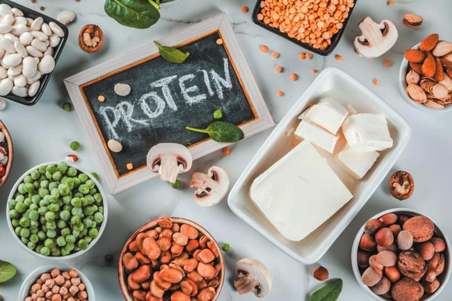 1. प्रोटीन (Protein)