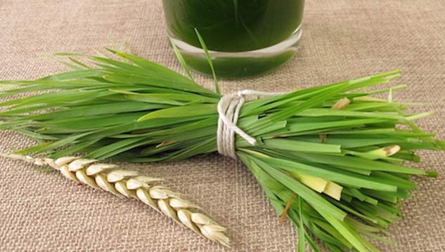 Wheat-Grass-Benefits