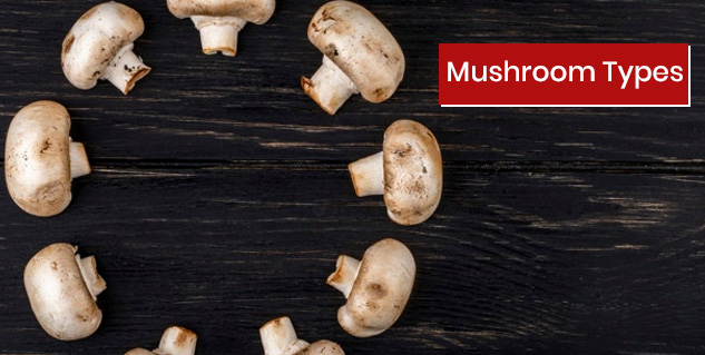 Mushrooms