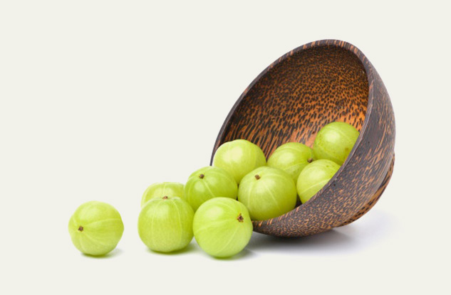 Amla is good for health