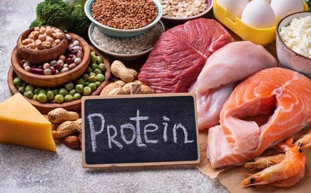 protein
