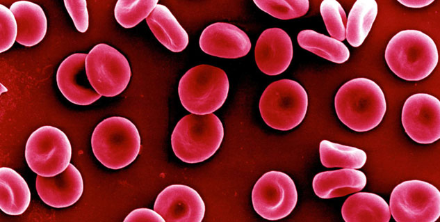 blood circulation imrove