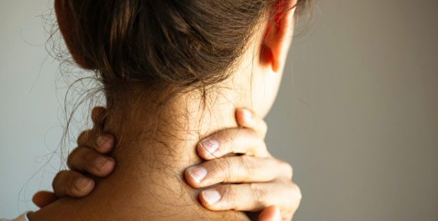 tomato pulp and skin