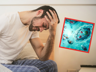 Diseases Caused By Protozoan Infection And Their Treatment