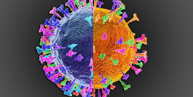delta_omicron_combination