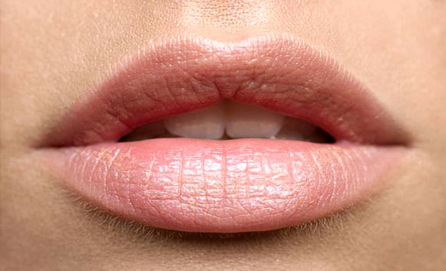 inside1lips