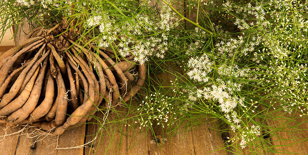 shatavari-benefits-hair