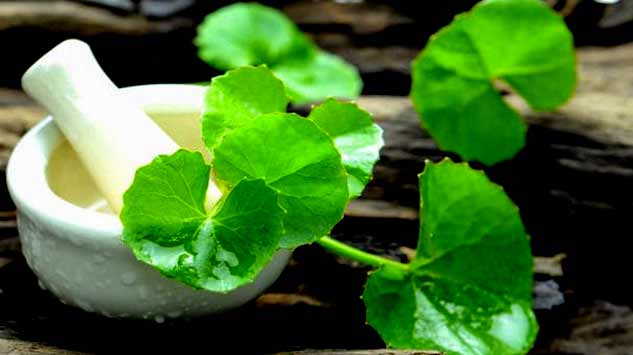 inside1brahmileavesbenefits