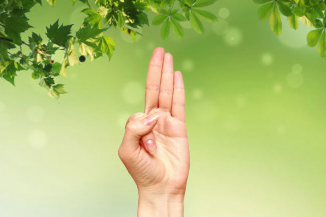5. वायु मुद्रा (vayu mudra benefits)