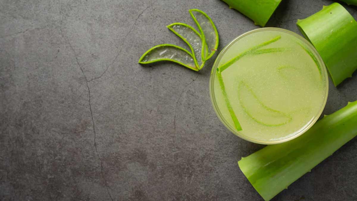 aloe vera for dandruff