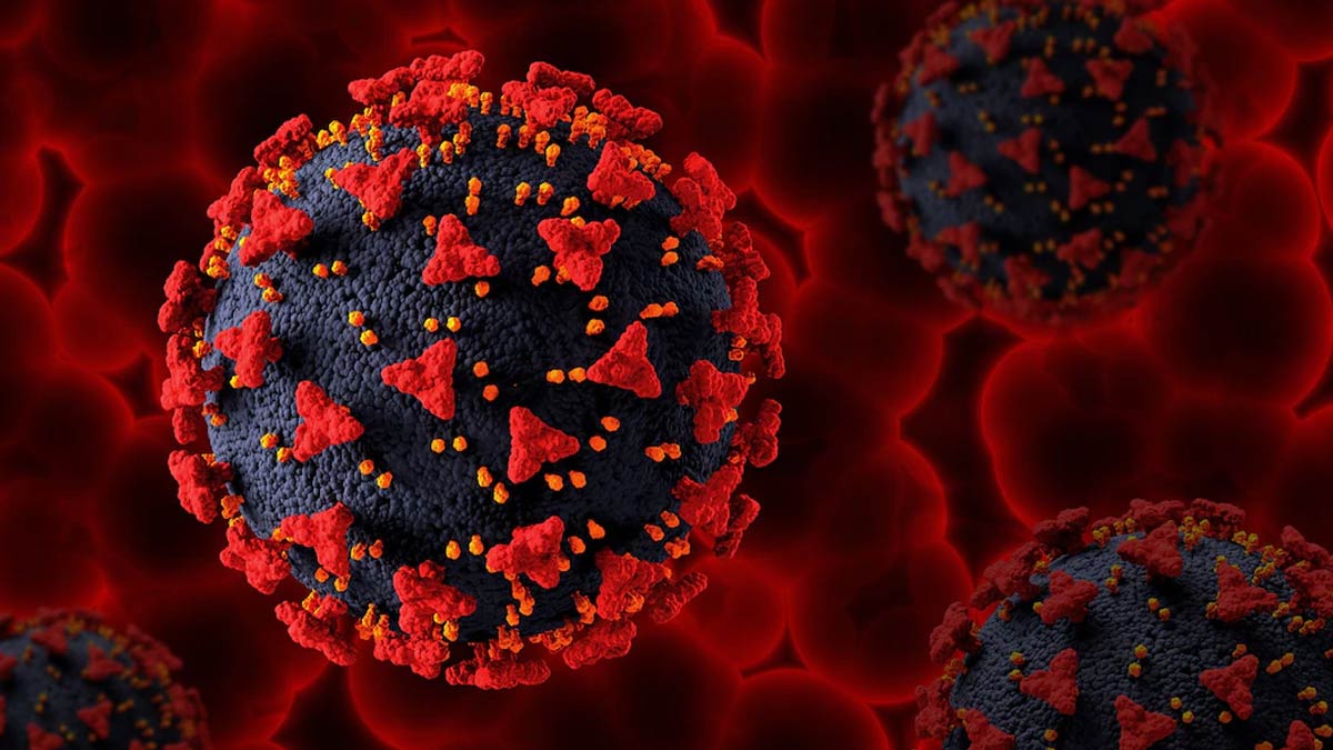 Omicron BA 2 75 Variant in India