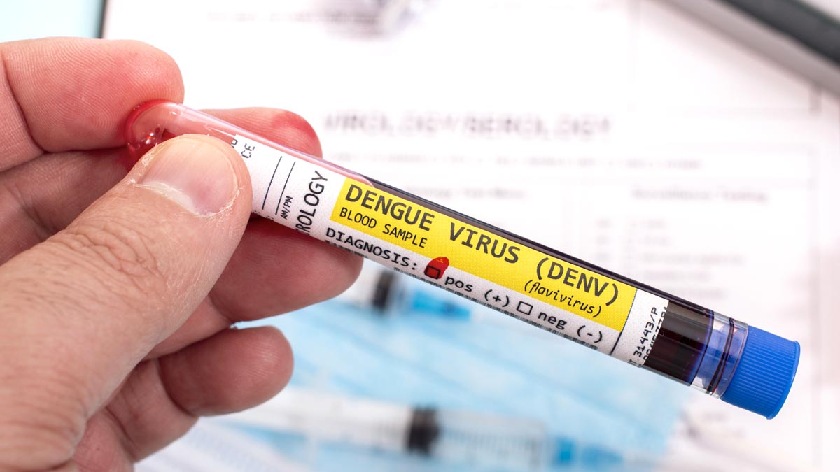 Mosquitoes to Control Dengue