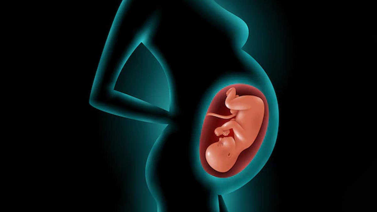 pregnancy test in hindi doppler ultrasound