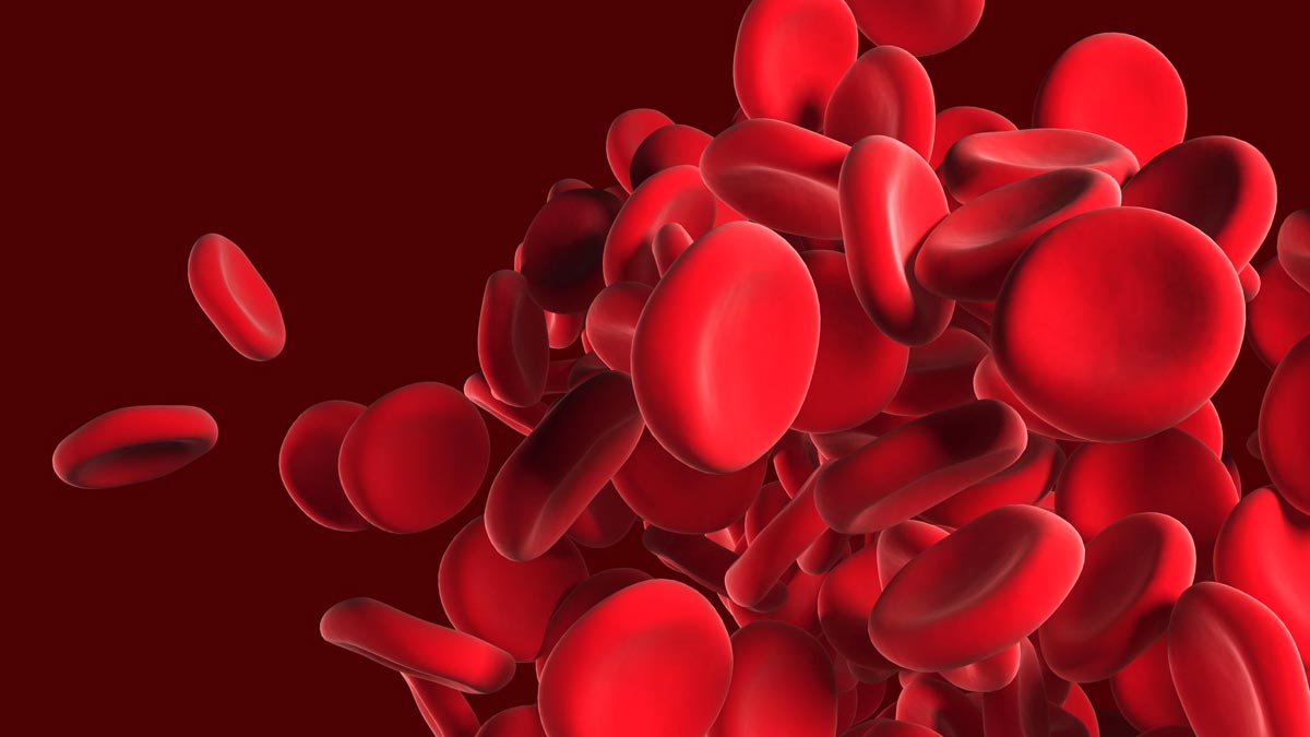 low plateletes in dengue