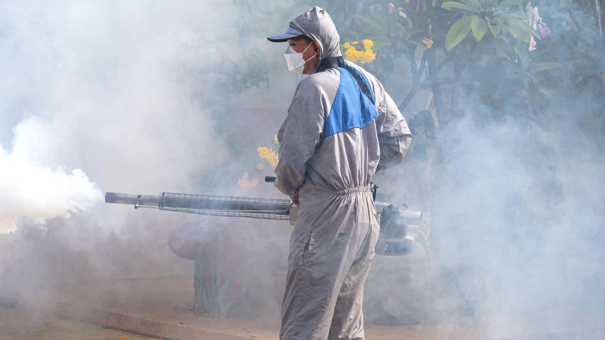 Dengue Cases in Up Lucknow