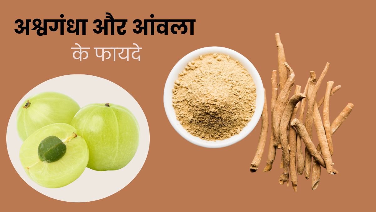 एक साथ करें अश्वगंधा और आंवला का सेवन, बढ़ेगा हीमोग्लोबिन और मिलेंगे कई फायदे