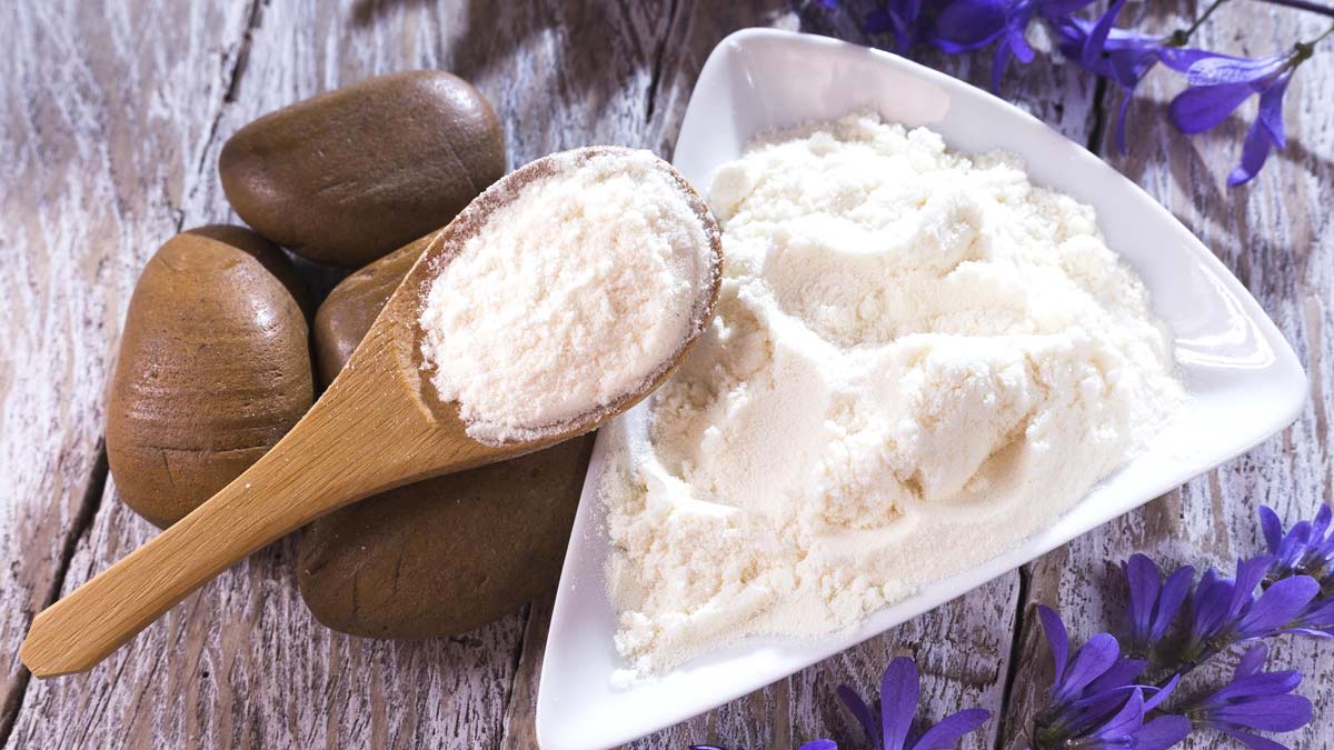 protein powder for weight gain